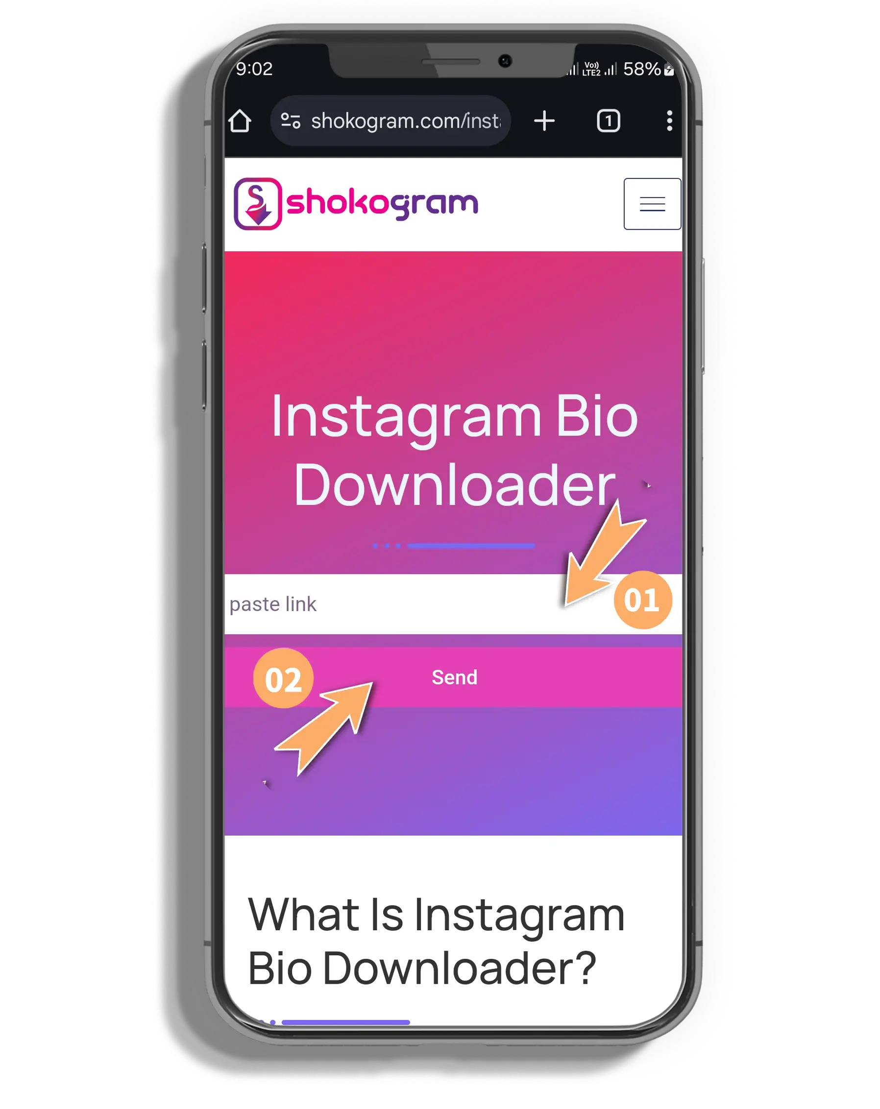 Instagram-Bio-Downloader