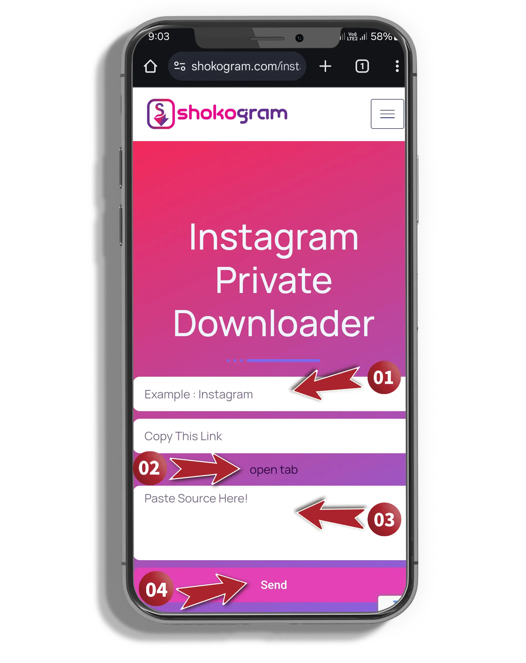 Instagram-Private-Downloader