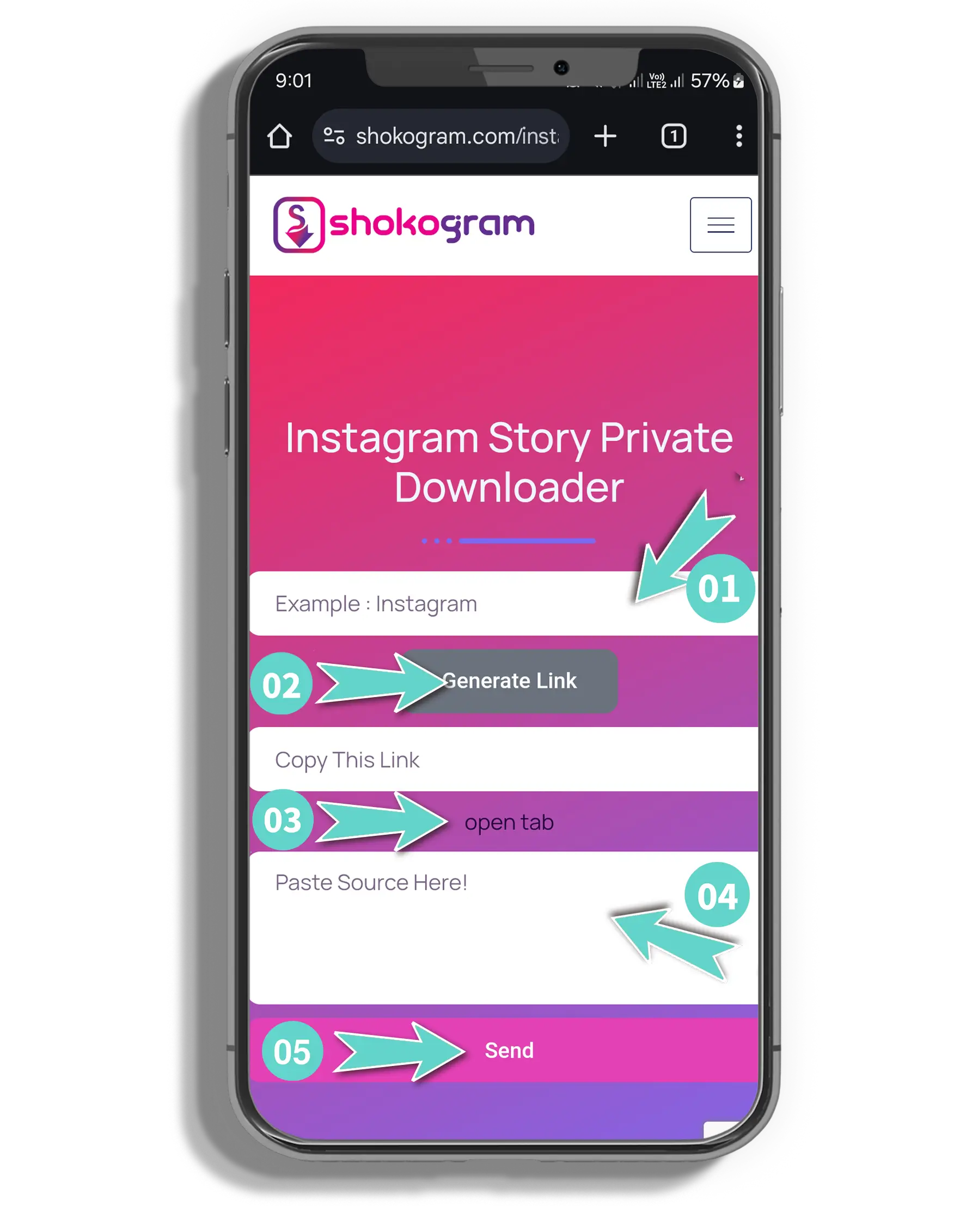 Instagram Story Private Downloader